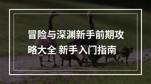 冒险与深渊新手前期攻略大全 新手入门指南