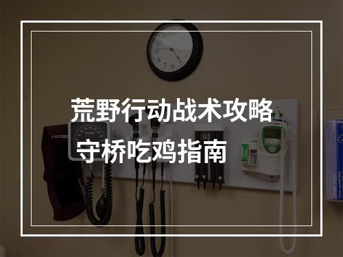 荒野行动战术攻略 守桥吃鸡指南