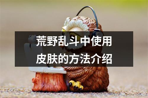 荒野乱斗中使用皮肤的方法介绍