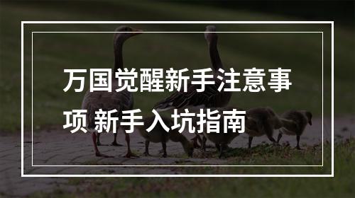 万国觉醒新手注意事项 新手入坑指南