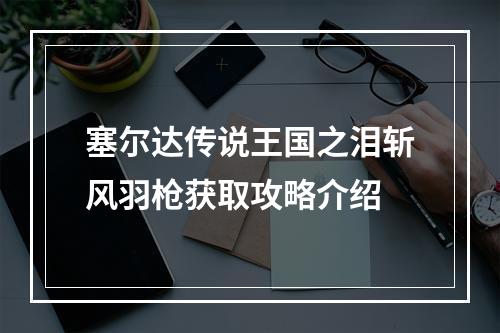 塞尔达传说王国之泪斩风羽枪获取攻略介绍