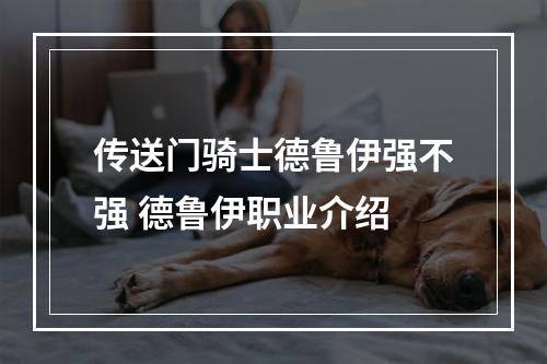 传送门骑士德鲁伊强不强 德鲁伊职业介绍