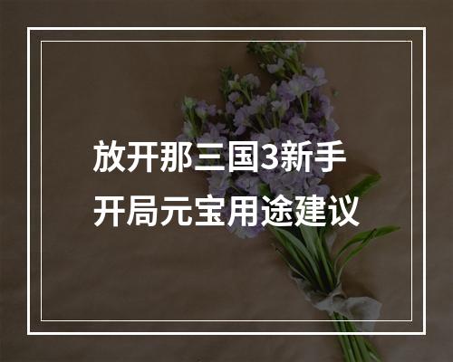 放开那三国3新手开局元宝用途建议