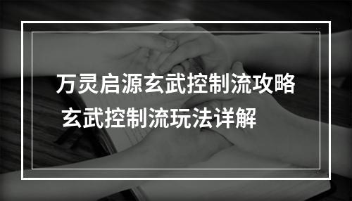 万灵启源玄武控制流攻略 玄武控制流玩法详解