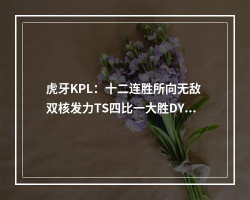 虎牙KPL：十二连胜所向无敌 双核发力TS四比一大胜DYG晋级总决赛