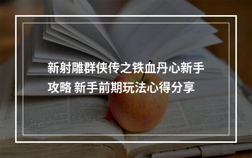 新射雕群侠传之铁血丹心新手攻略 新手前期玩法心得分享