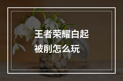 王者荣耀白起被削怎么玩