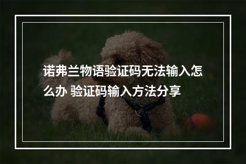 诺弗兰物语验证码无法输入怎么办 验证码输入方法分享