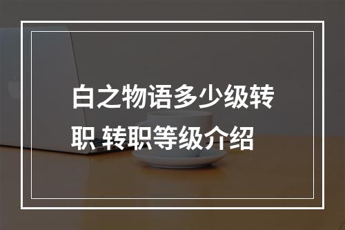 白之物语多少级转职 转职等级介绍