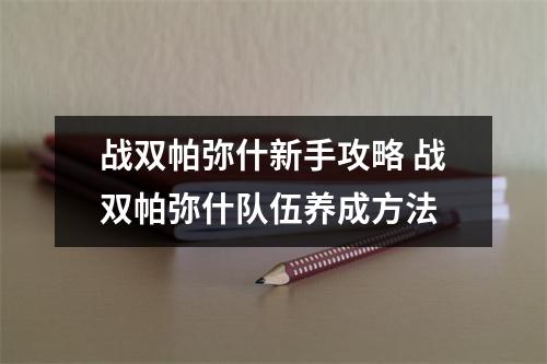 战双帕弥什新手攻略 战双帕弥什队伍养成方法