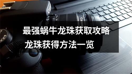 最强蜗牛龙珠获取攻略 龙珠获得方法一览