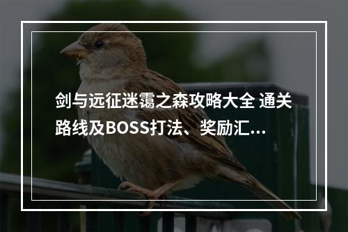 剑与远征迷霭之森攻略大全 通关路线及BOSS打法、奖励汇总