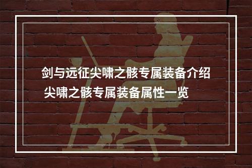 剑与远征尖啸之骸专属装备介绍 尖啸之骸专属装备属性一览