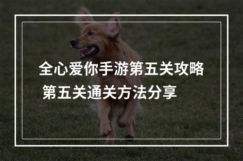 全心爱你手游第五关攻略 第五关通关方法分享