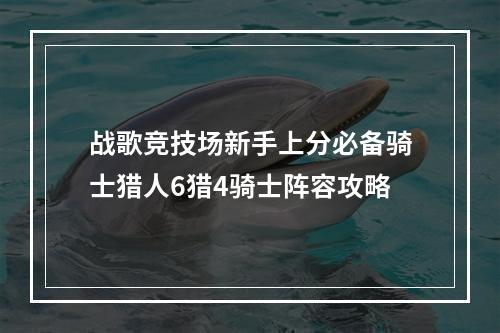 战歌竞技场新手上分必备骑士猎人6猎4骑士阵容攻略