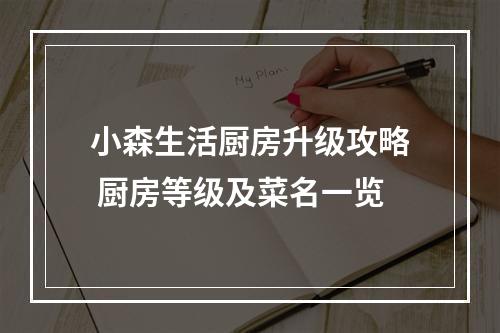 小森生活厨房升级攻略 厨房等级及菜名一览