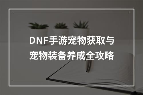 DNF手游宠物获取与宠物装备养成全攻略