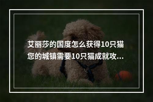 艾丽莎的国度怎么获得10只猫 您的城镇需要10只猫成就攻略