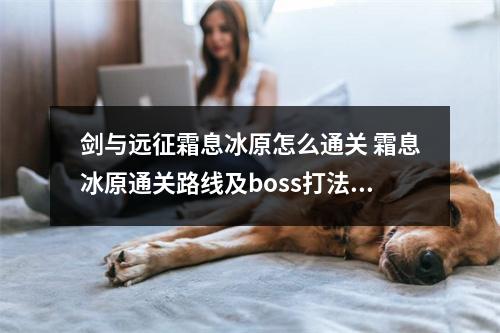 剑与远征霜息冰原怎么通关 霜息冰原通关路线及boss打法攻略