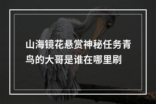 山海镜花悬赏神秘任务青鸟的大哥是谁在哪里刷