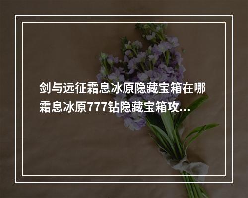 剑与远征霜息冰原隐藏宝箱在哪 霜息冰原777钻隐藏宝箱攻略