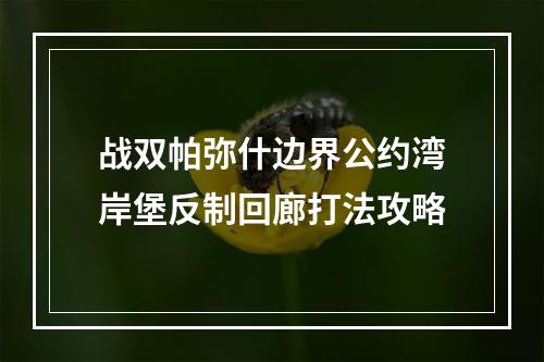 战双帕弥什边界公约湾岸堡反制回廊打法攻略