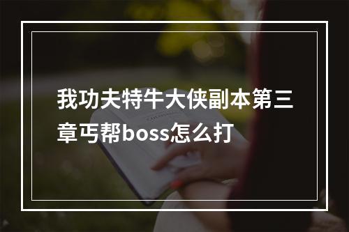 我功夫特牛大侠副本第三章丐帮boss怎么打