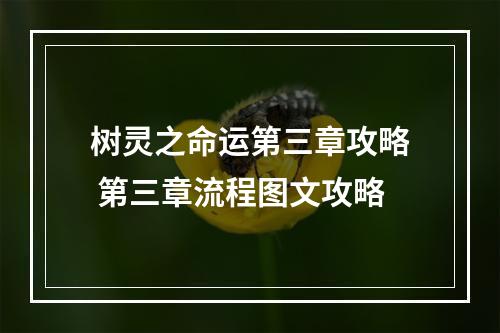 树灵之命运第三章攻略 第三章流程图文攻略