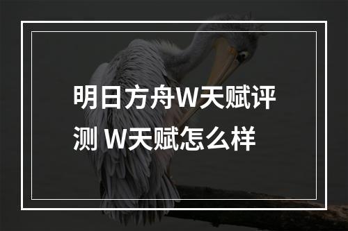 明日方舟W天赋评测 W天赋怎么样