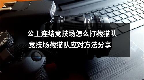 公主连结竞技场怎么打藏猫队 竞技场藏猫队应对方法分享