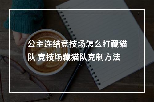 公主连结竞技场怎么打藏猫队 竞技场藏猫队克制方法