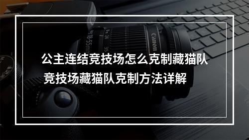 公主连结竞技场怎么克制藏猫队 竞技场藏猫队克制方法详解