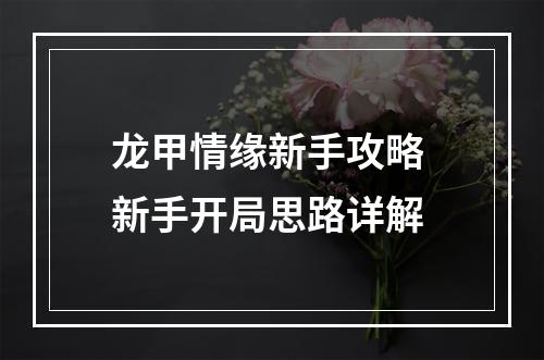 龙甲情缘新手攻略 新手开局思路详解