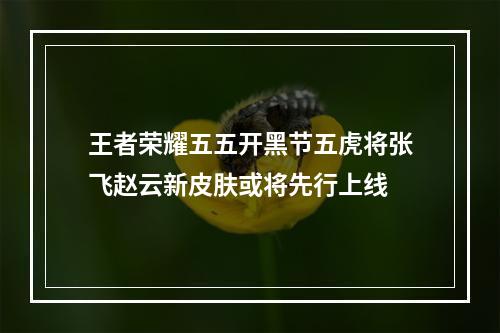 王者荣耀五五开黑节五虎将张飞赵云新皮肤或将先行上线