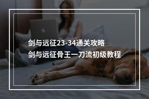 剑与远征23-34通关攻略 剑与远征骨王一刀流初级教程