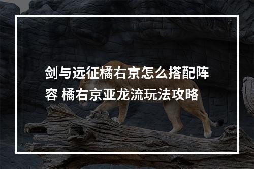 剑与远征橘右京怎么搭配阵容 橘右京亚龙流玩法攻略