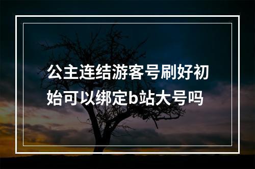 公主连结游客号刷好初始可以绑定b站大号吗