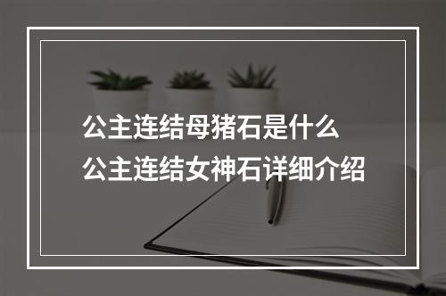 公主连结母猪石是什么 公主连结女神石详细介绍