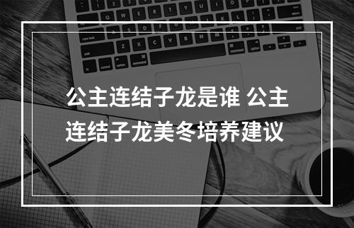 公主连结子龙是谁 公主连结子龙美冬培养建议