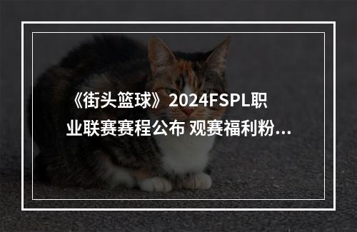 《街头篮球》2024FSPL职业联赛赛程公布 观赛福利粉丝套大揭秘