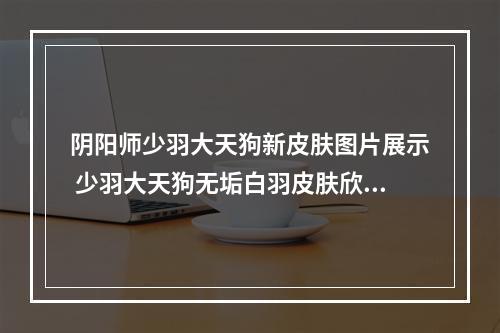 阴阳师少羽大天狗新皮肤图片展示 少羽大天狗无垢白羽皮肤欣赏