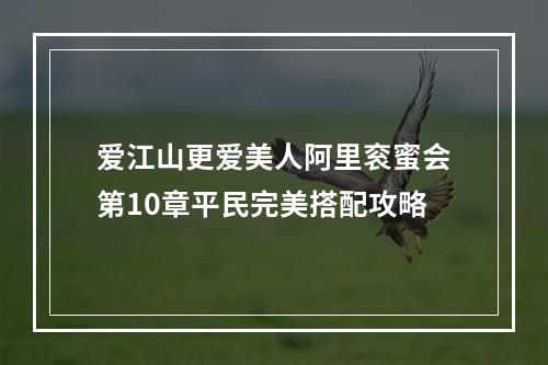 爱江山更爱美人阿里衮蜜会第10章平民完美搭配攻略