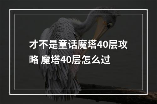 才不是童话魔塔40层攻略 魔塔40层怎么过