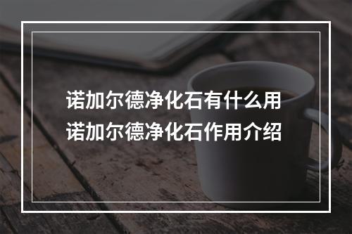 诺加尔德净化石有什么用 诺加尔德净化石作用介绍