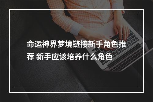 命运神界梦境链接新手角色推荐 新手应该培养什么角色