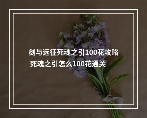 剑与远征死魂之引100花攻略 死魂之引怎么100花通关