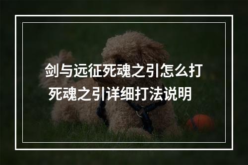 剑与远征死魂之引怎么打 死魂之引详细打法说明