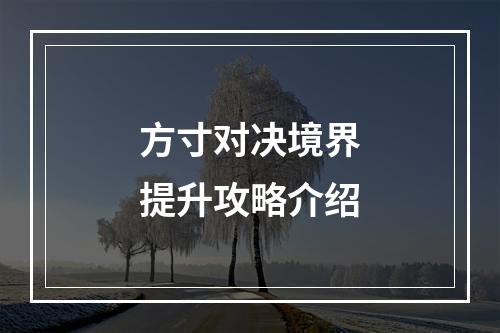 方寸对决境界提升攻略介绍