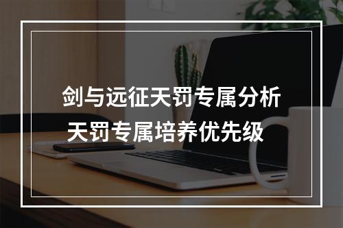 剑与远征天罚专属分析 天罚专属培养优先级