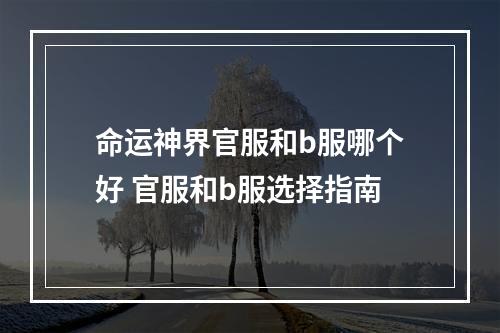 命运神界官服和b服哪个好 官服和b服选择指南